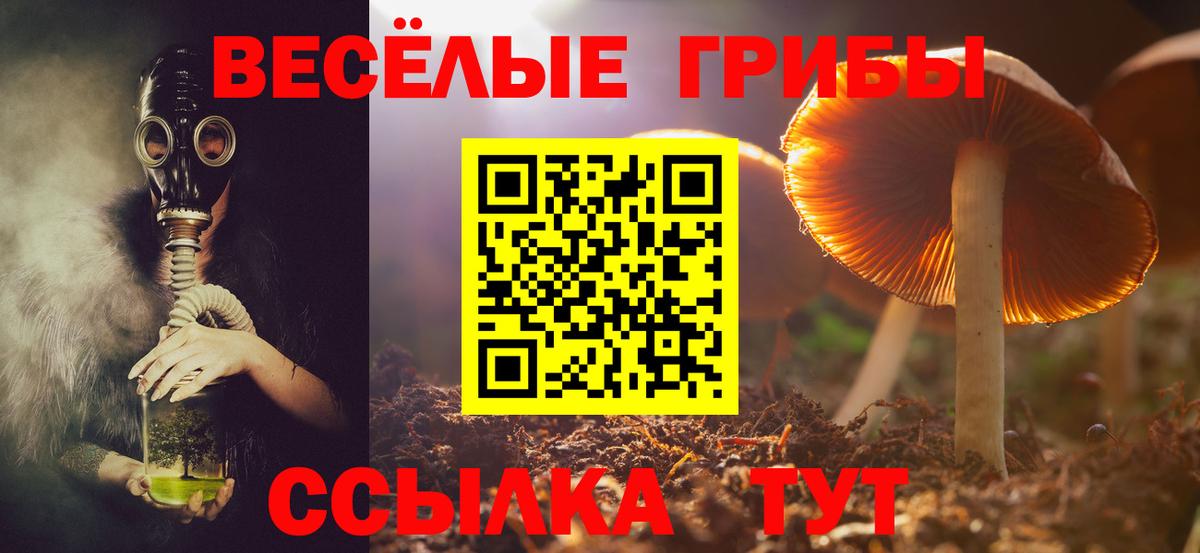 Псилоцибиновые грибы Psilocybine cubensis  Вход с VPN  магазин  наркотиков  Оренбург  Галлюциногенные грибы Psilocybe 